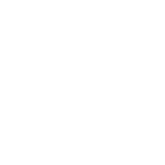 ZPZ_Icon for Photography in Services page