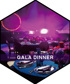 Hexagon Icon for Gala Dinner in ZPZ What We Do page